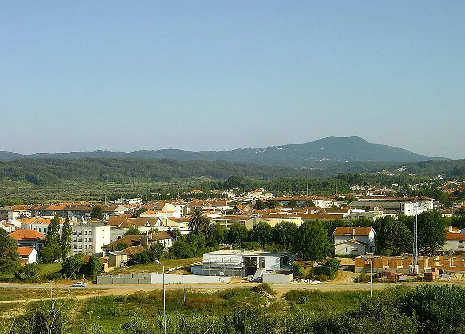 Arcos e Mogofores