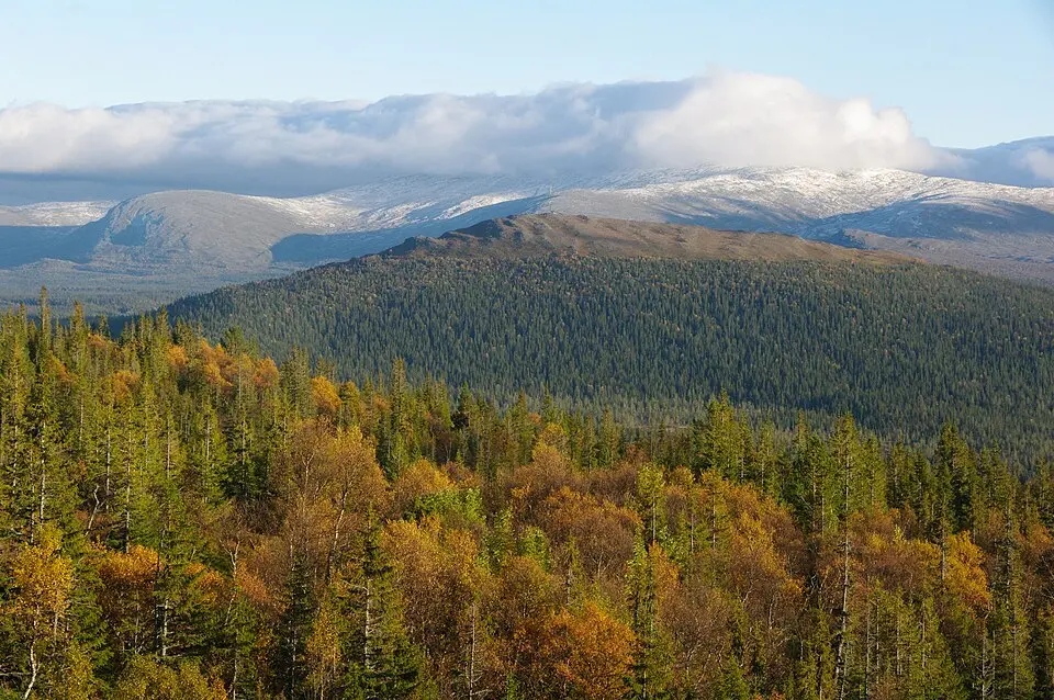 Anarisfjällen