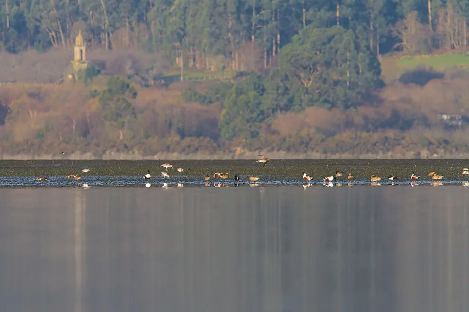Ría de Ortigueira y Ladrido