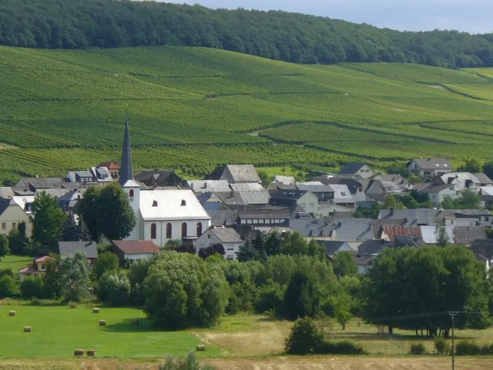 Bild: user:Dkvtig_wc · CC BY 3.0 Osann-Monzel
