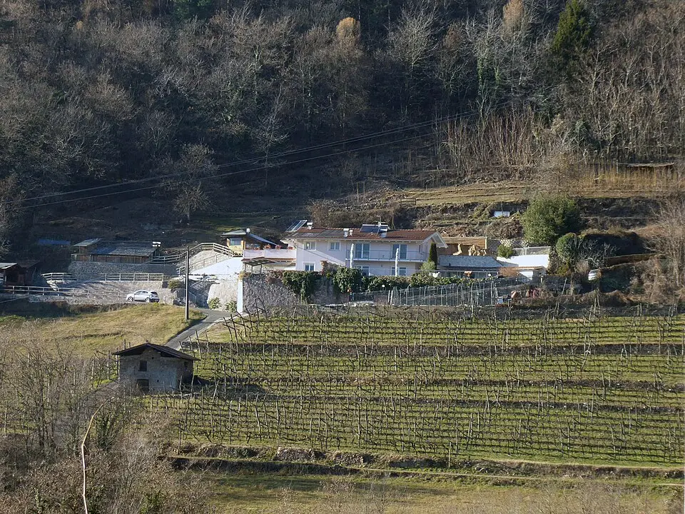 Osella