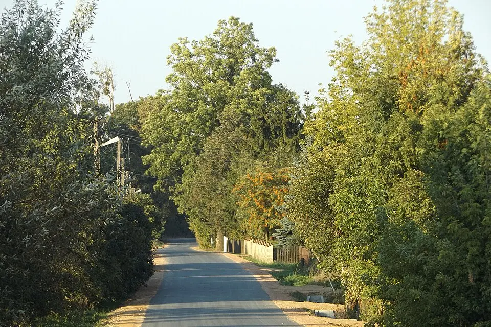 Osiek