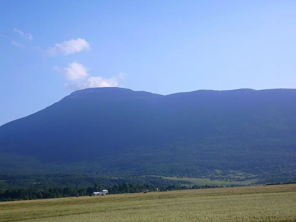 Osječenica