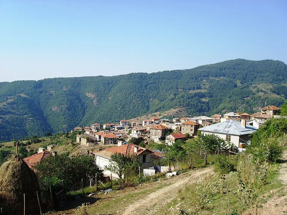 Осиково
