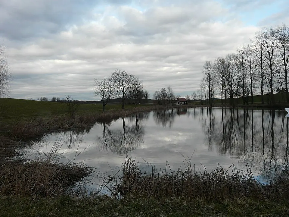 Osing