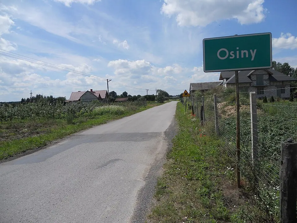 Osiny