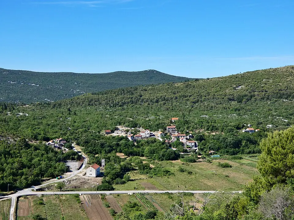 Obrázok: Ma▀▄Ga · CC BY 4.0 Ošlje