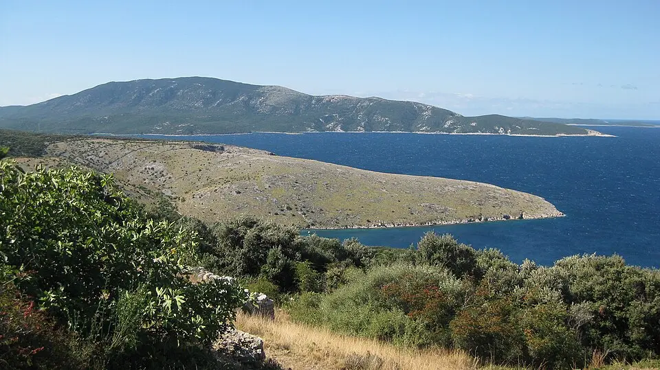 Osorščica