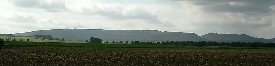 Osterwald