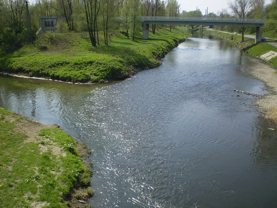 Lučina