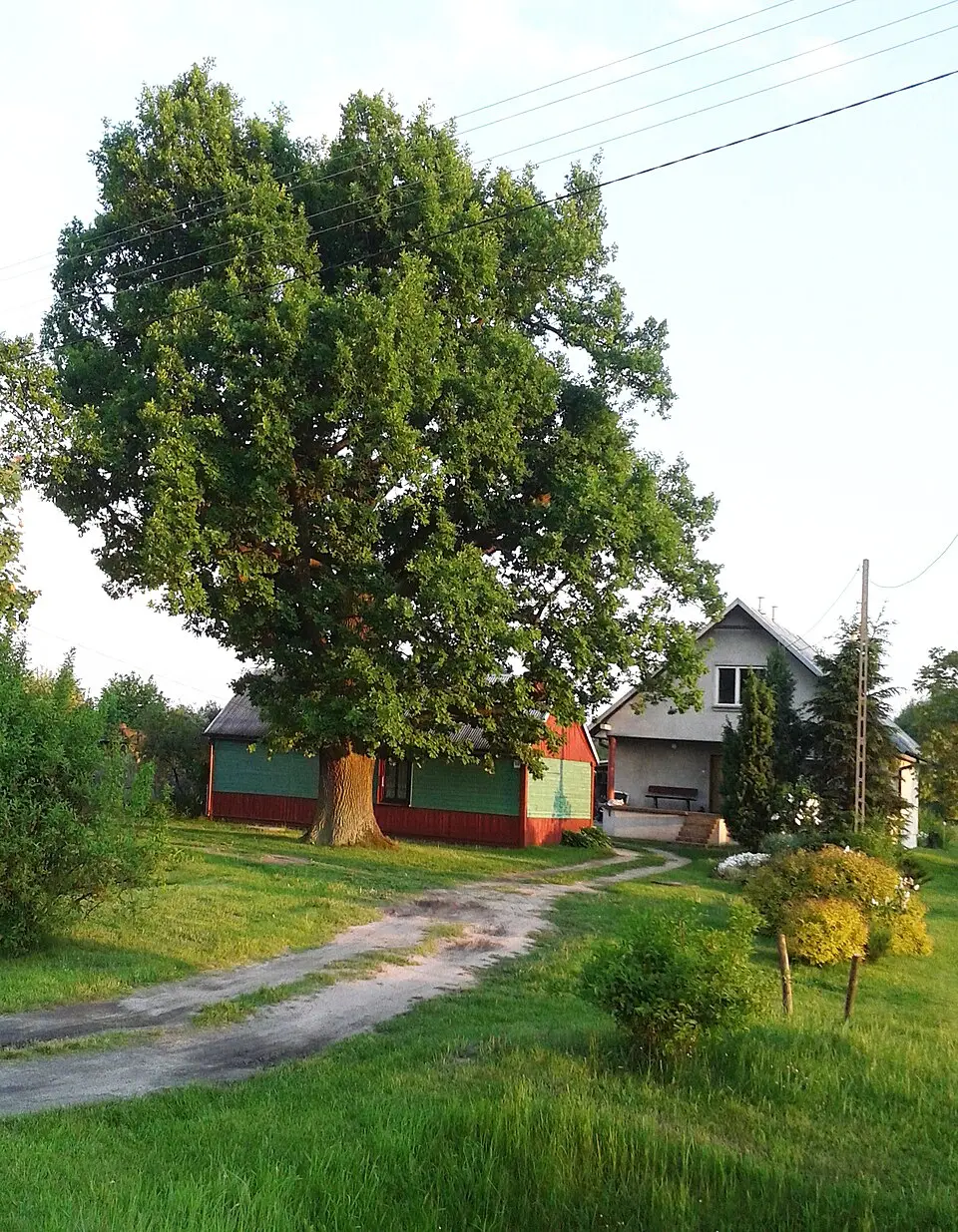 Ostrowy