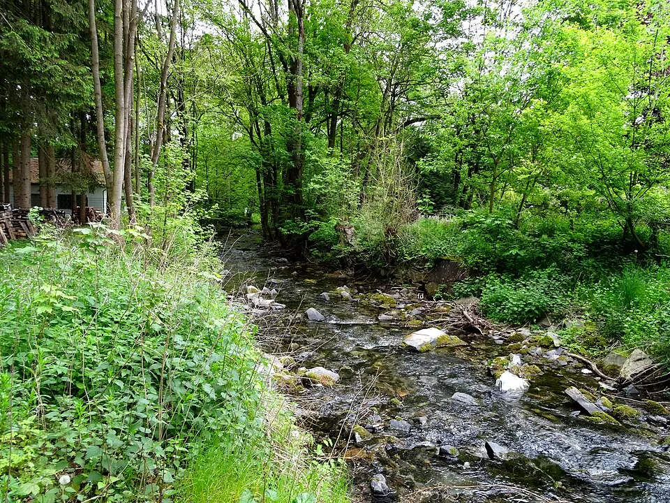 Elpe