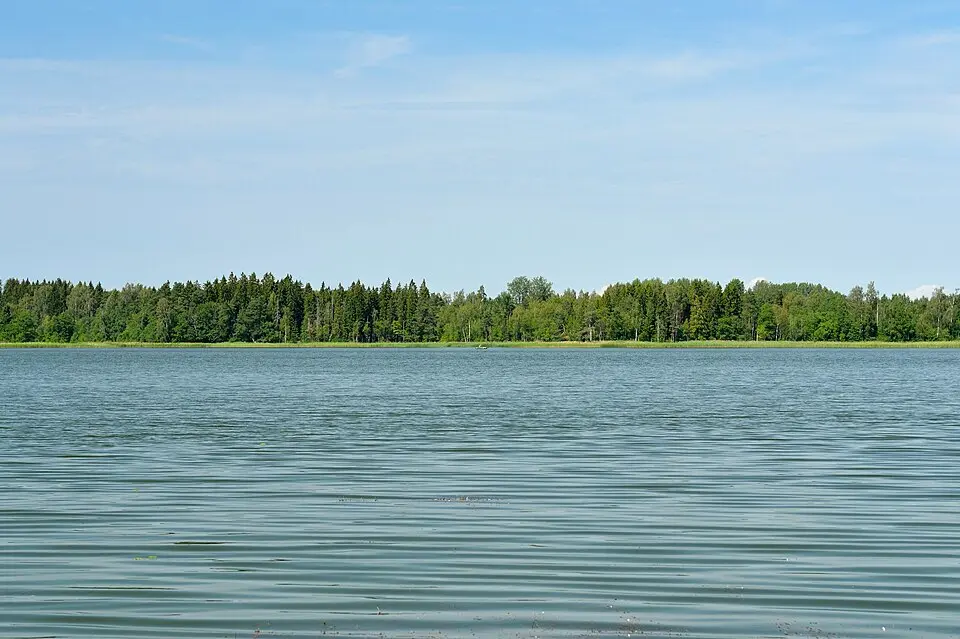 Valgjärv