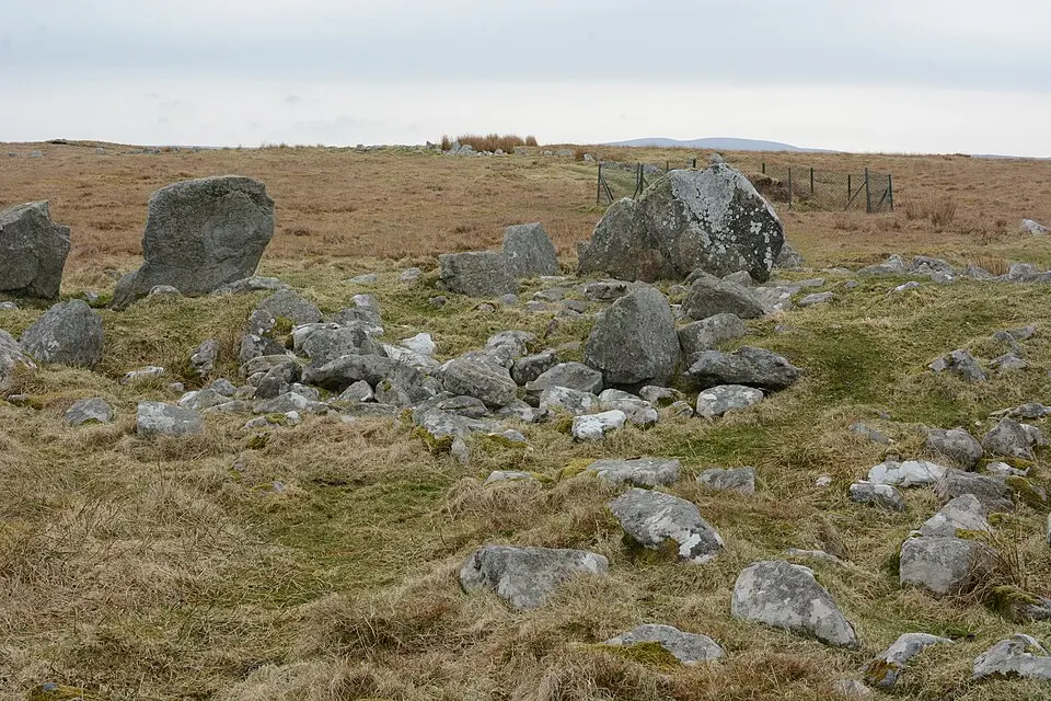 Steinacleit