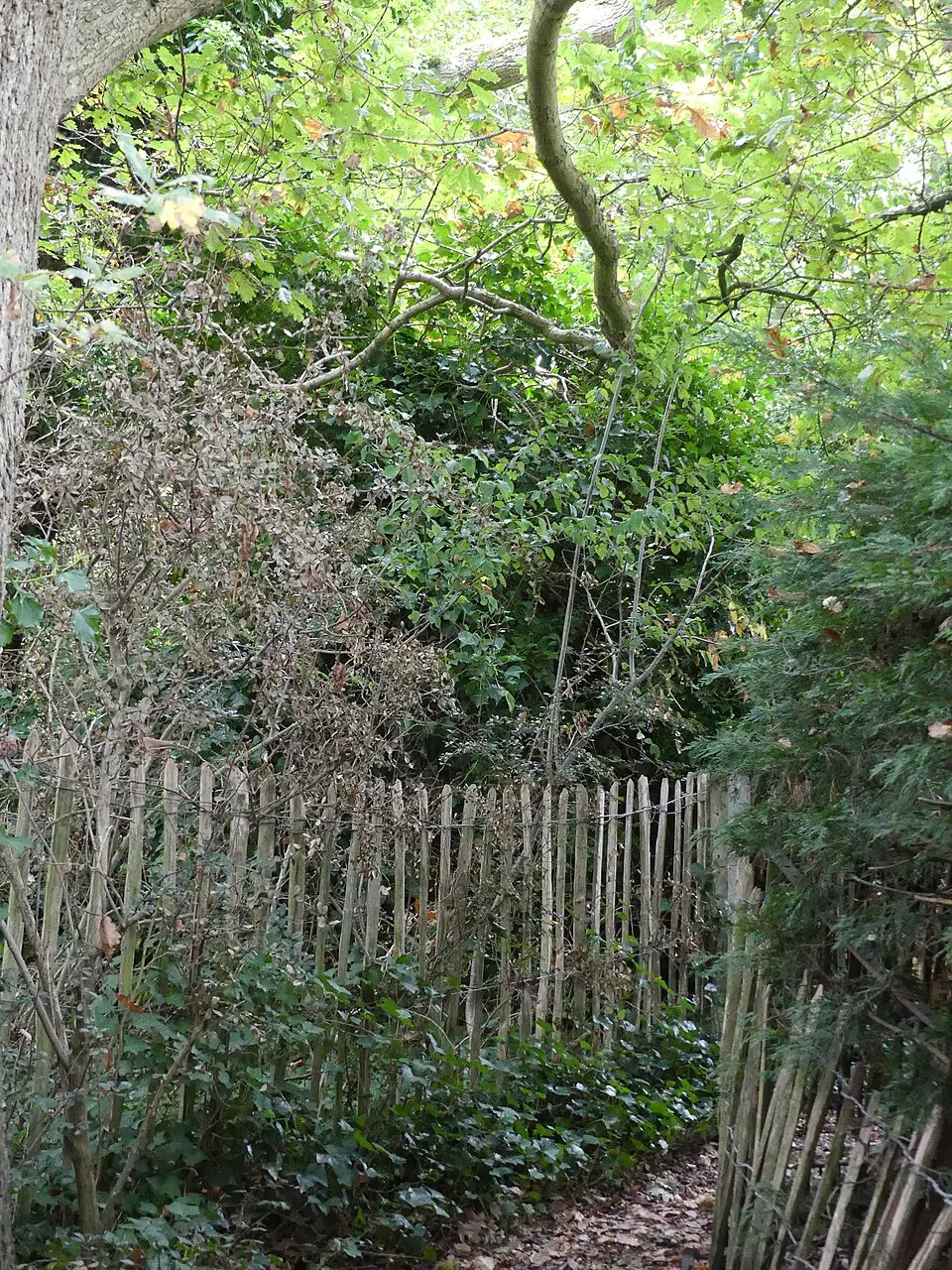 Remains of Windmill, Burton Wood