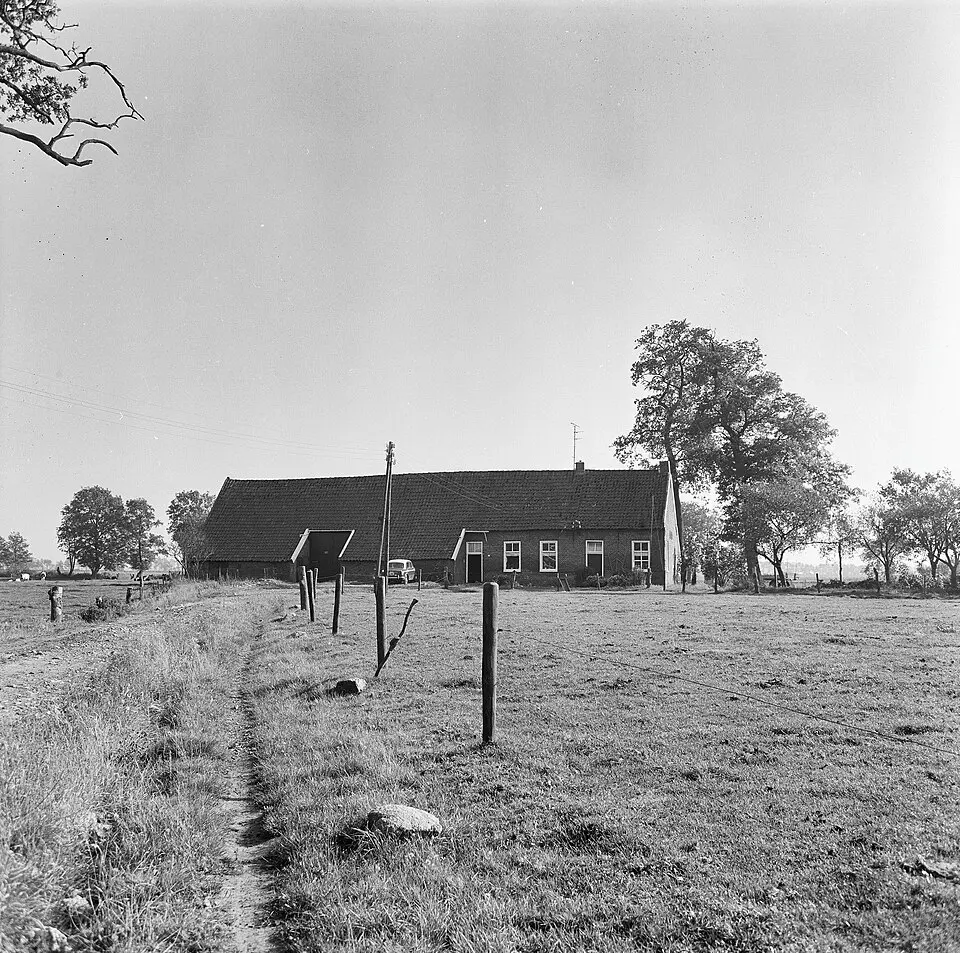 Ter Wisch