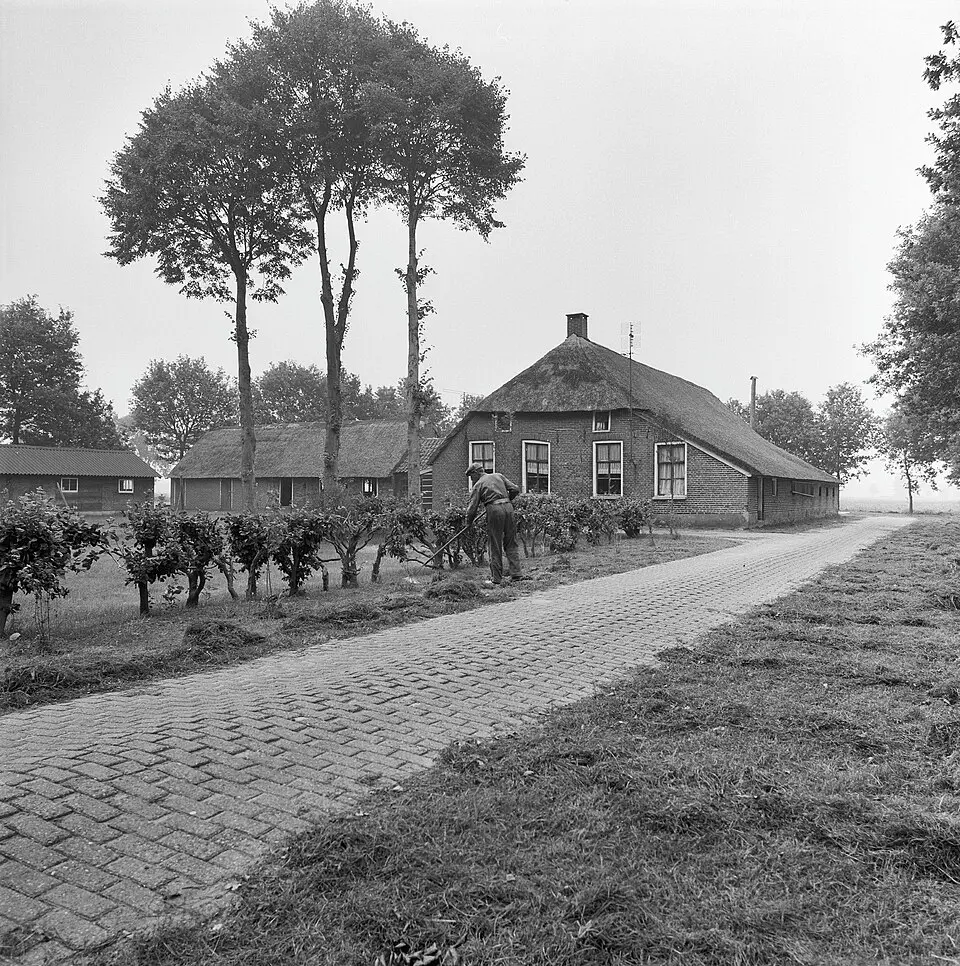 Vinkenbuurt