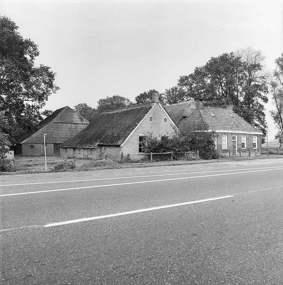 Wittelte