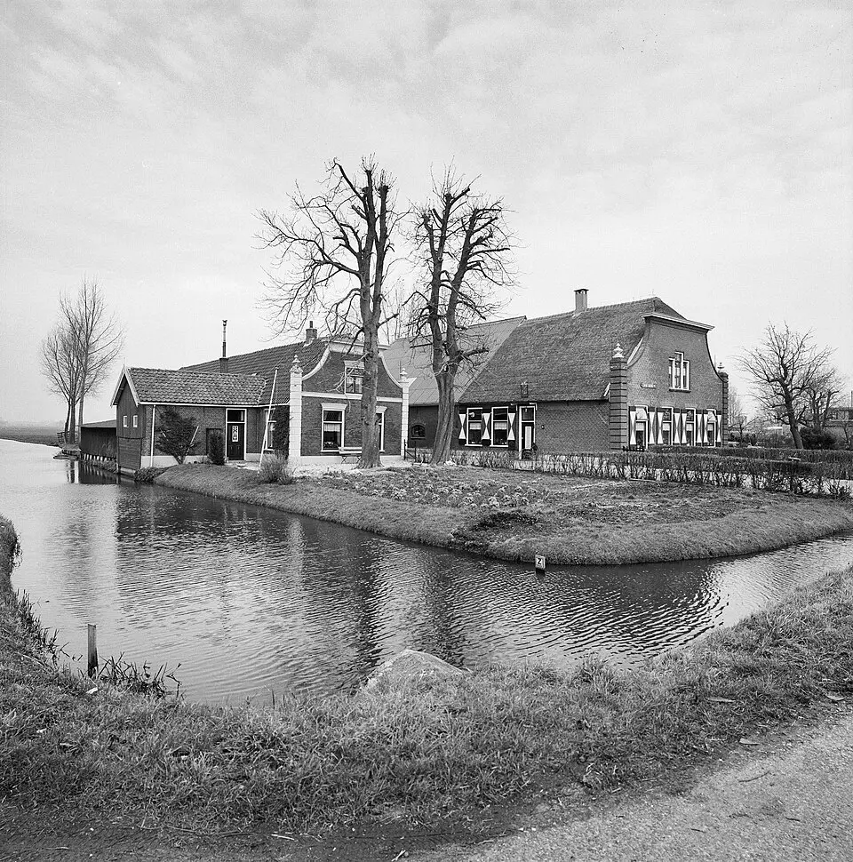 Houtdijken