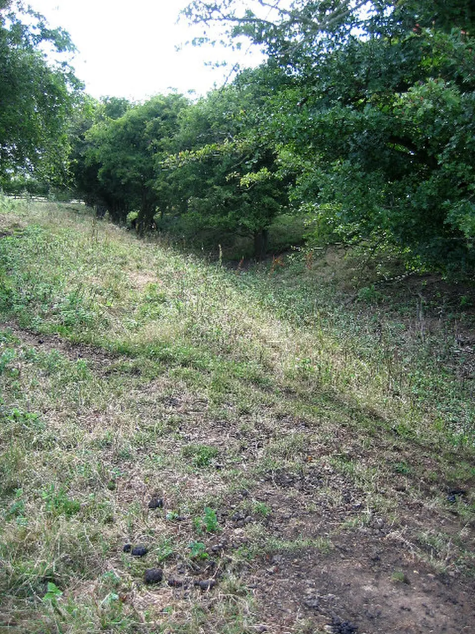 Barnhill moated site at Hambleton