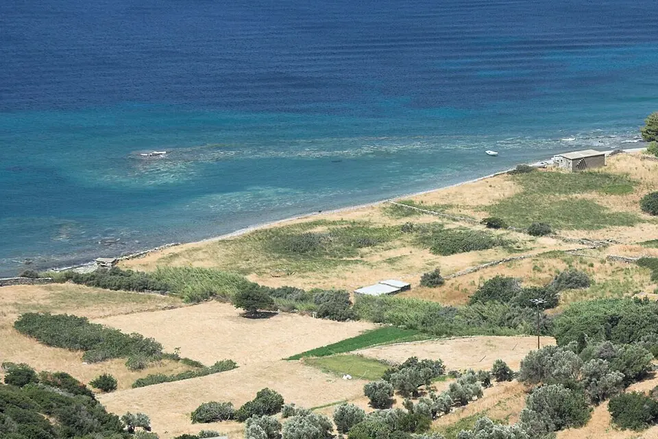 Παλαιόπολη Άνδρου