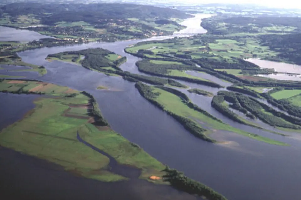Nordre Øyeren naturreservat