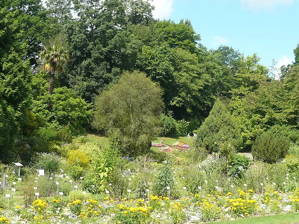 jardin des plantes de Caen