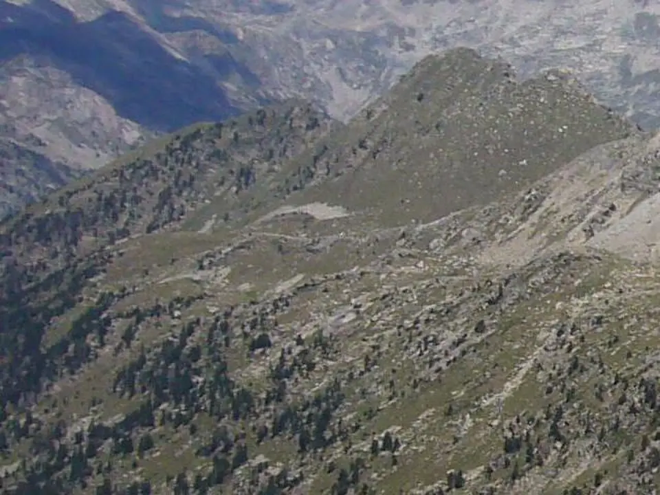 pala de Morrano
