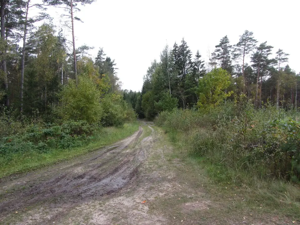 Pabradės seniūnija