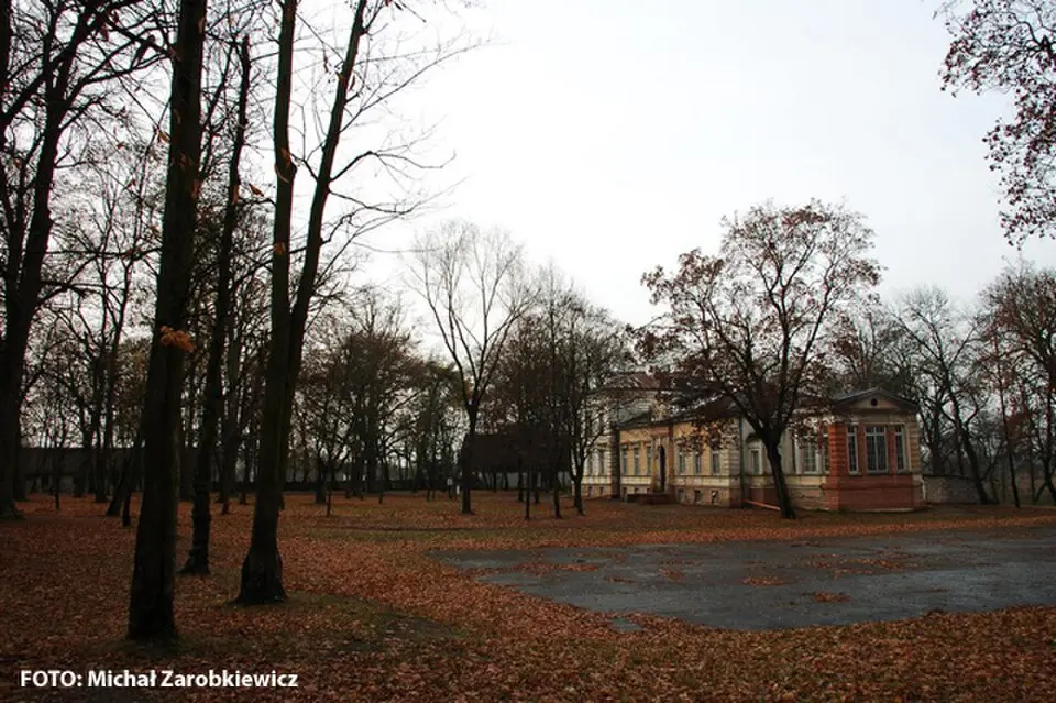 Zespół pałacowy w Borkach