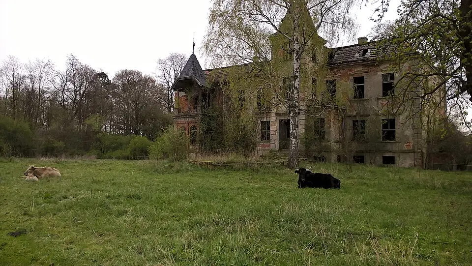 pałac w Międzylesiu