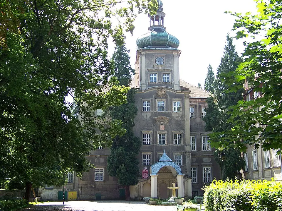 Pałac w Iłowej