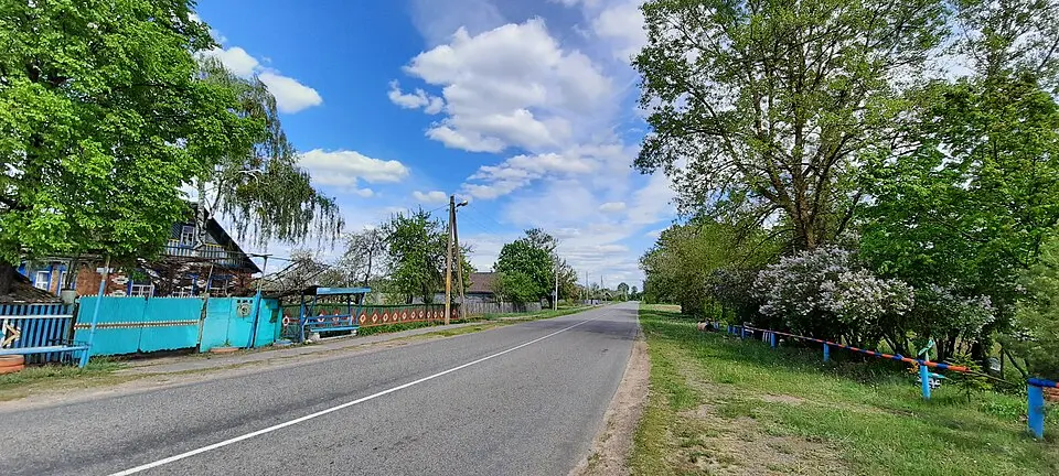 Pažychar