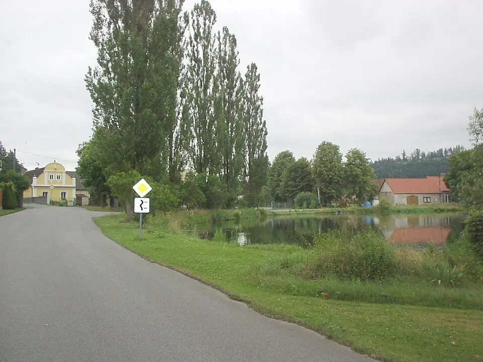 Pacelice