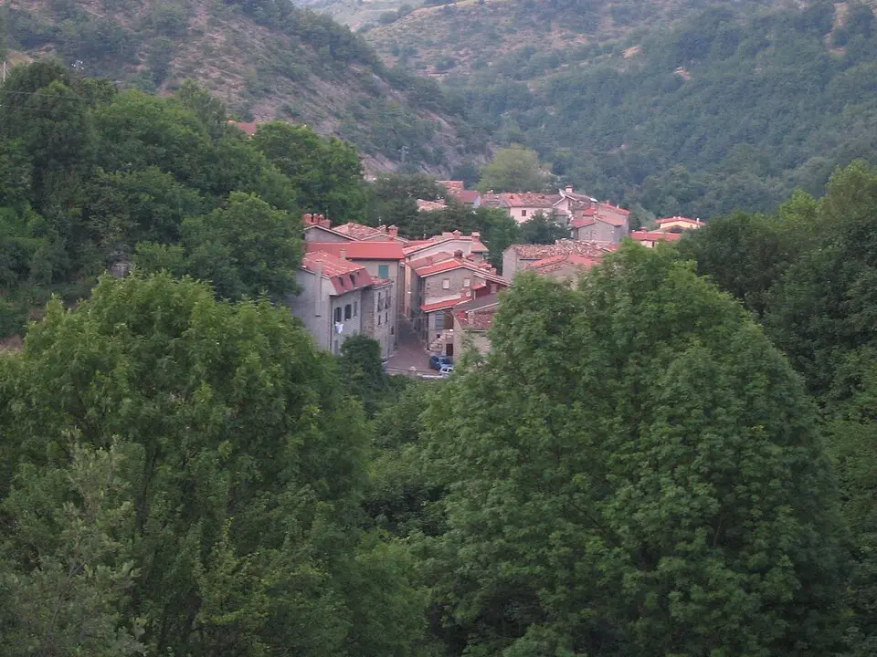 Padula