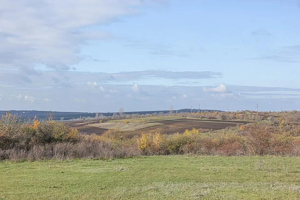 Rădoaia
