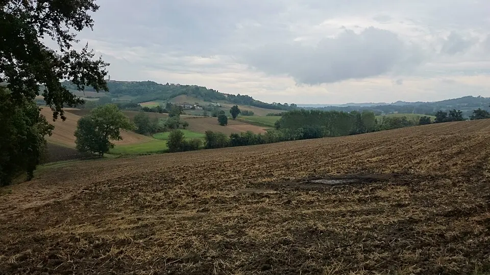 Colcavagno