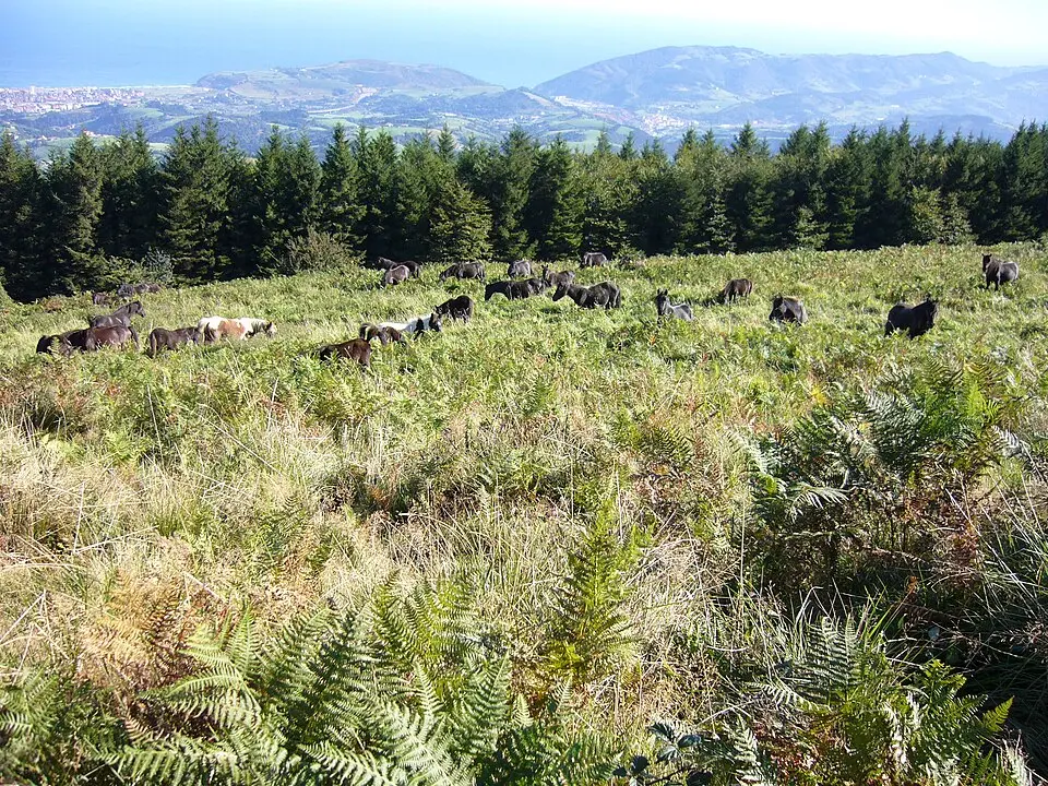 Parque natural de Pagoeta