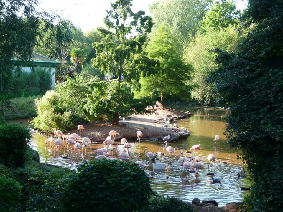 zoo di Paignton