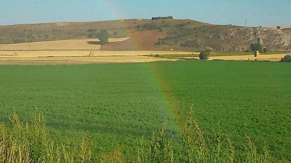 Valle de las Navas