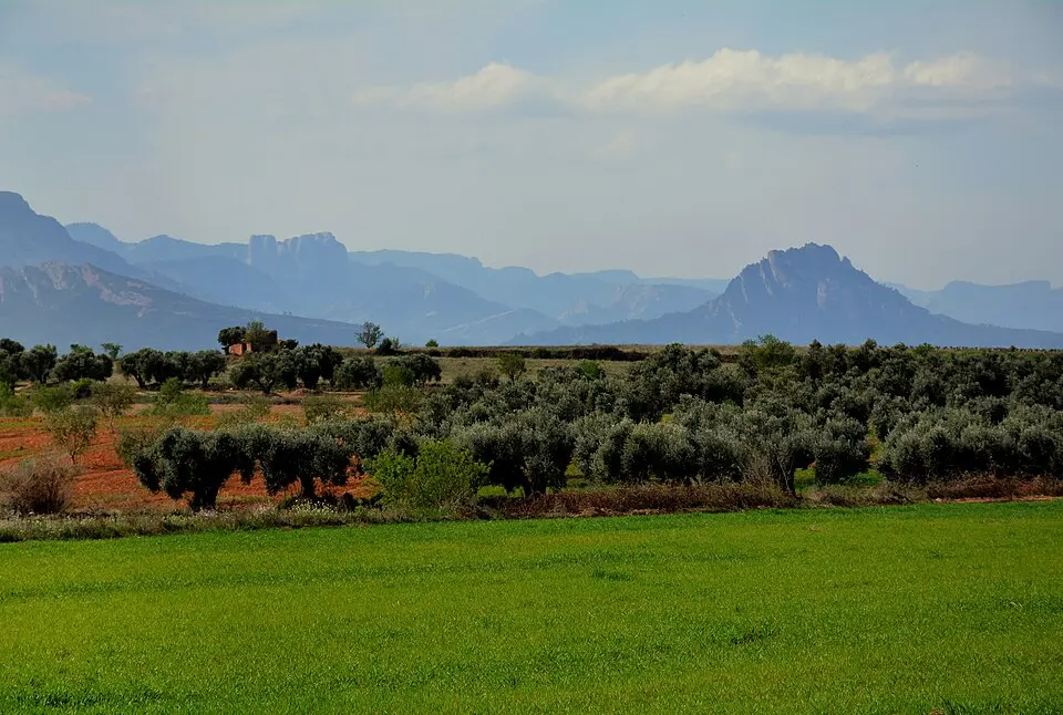 Terra Alta