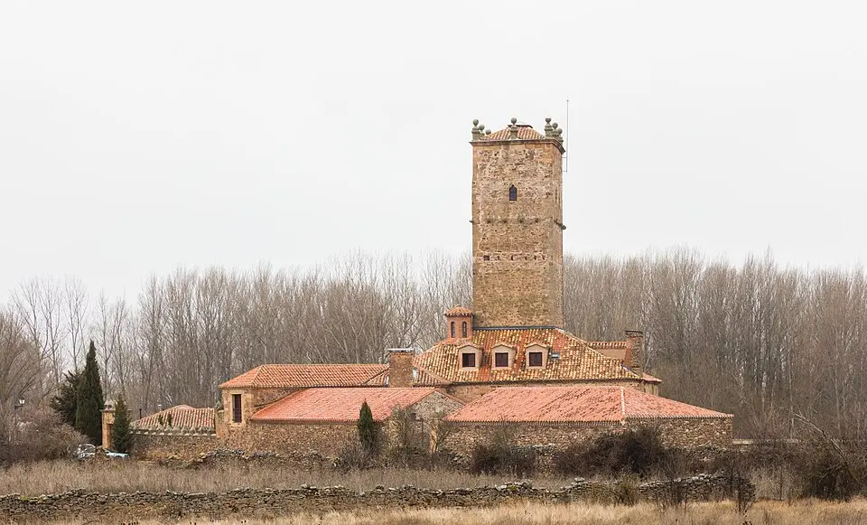 Torre-palacio de Aldealseñor