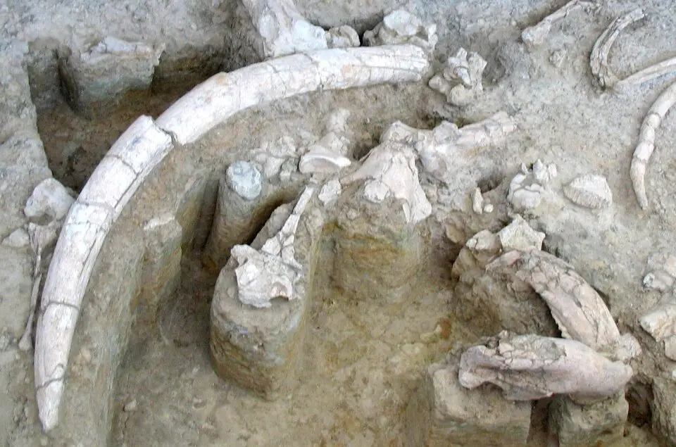 yacimientos de Torralba y Ambrona