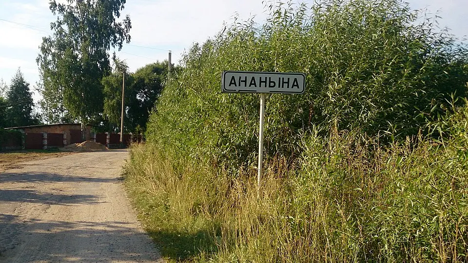 Ananina