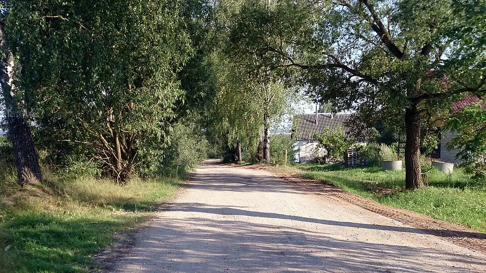 Andronavičy