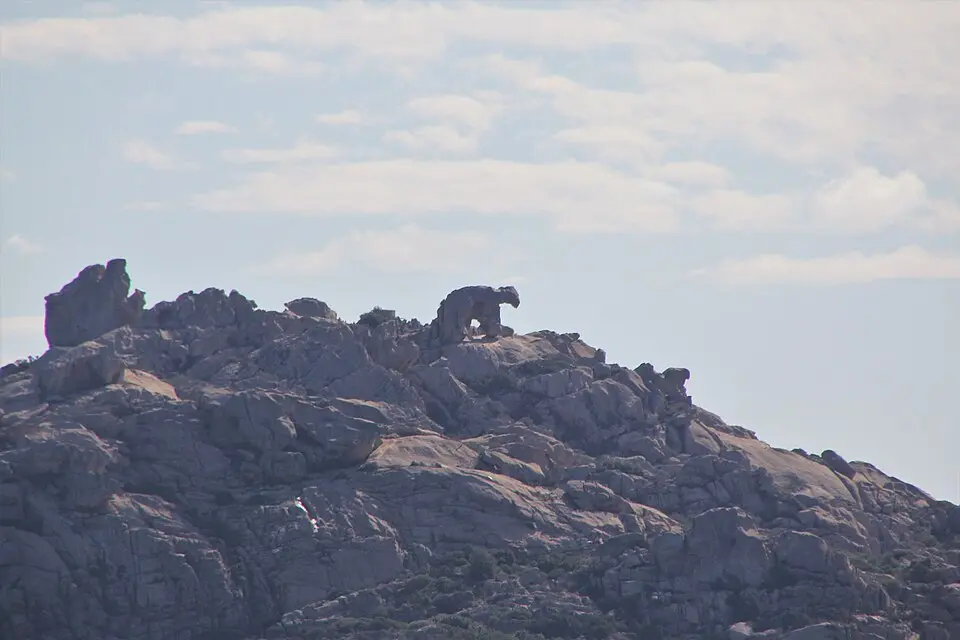 capo d'Orso