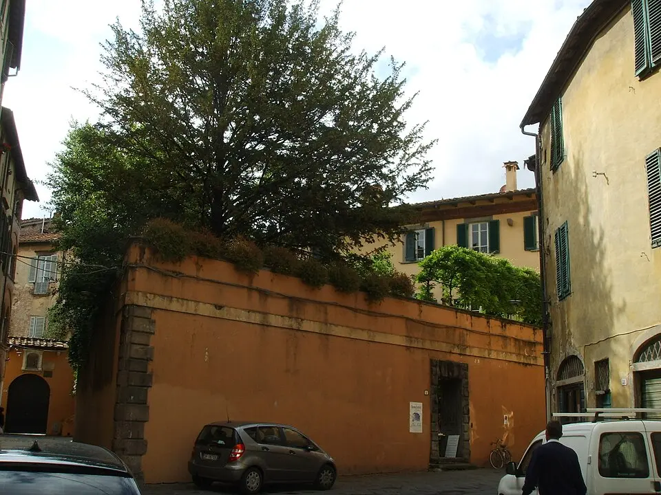 Palazzo Fontana-Busdraghi