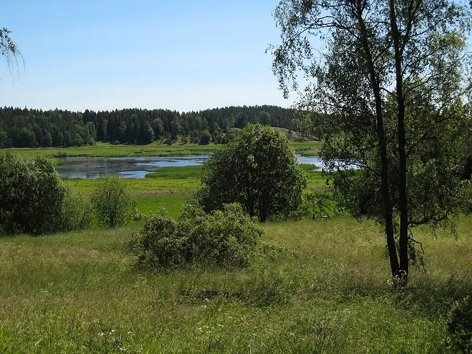 Angarnssjöängens naturreservat