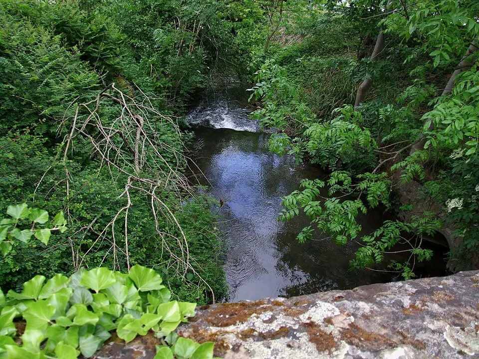 Waldangelbach