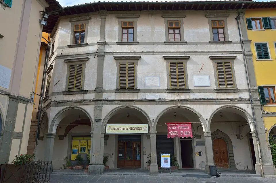 Museo civico di paleontologia